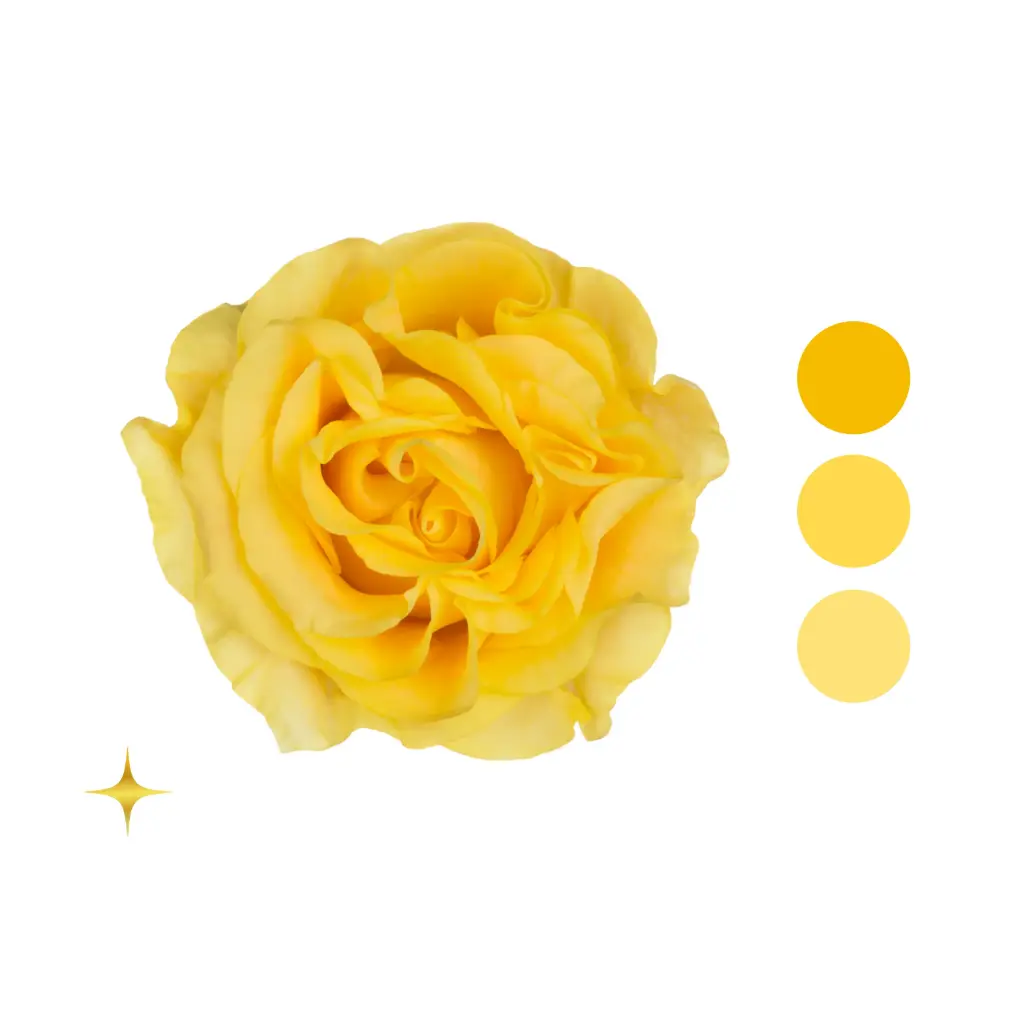 Golden Llama Garden Rose