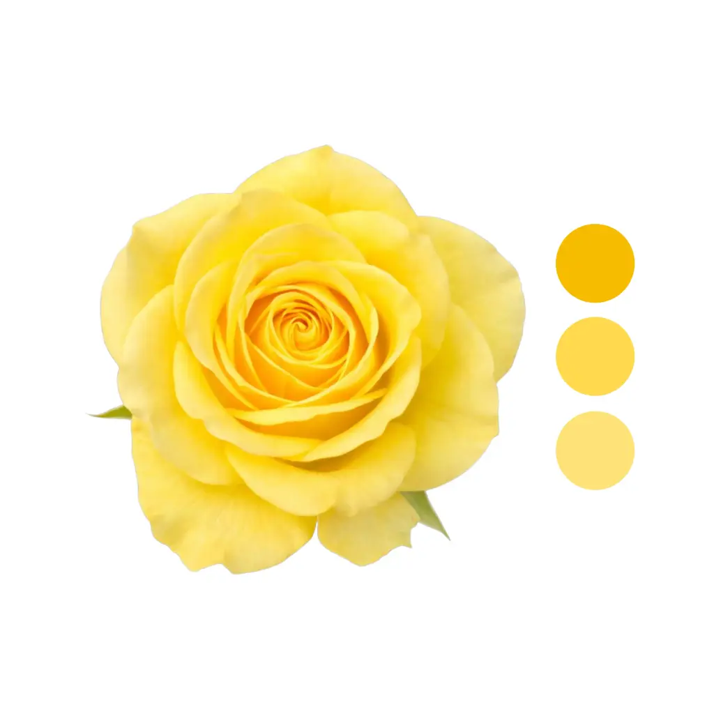Rise & Shine Yellow Rose 