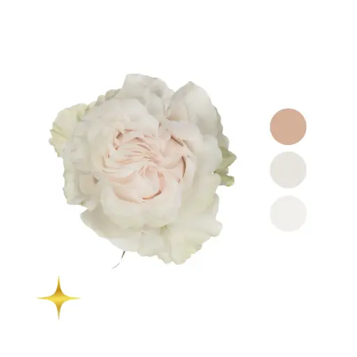 Cotton X-pression White Garden Rose 